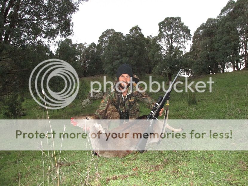 IMG_0940fallowdoe.jpg~original