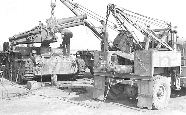 bison-III-spg.jpg