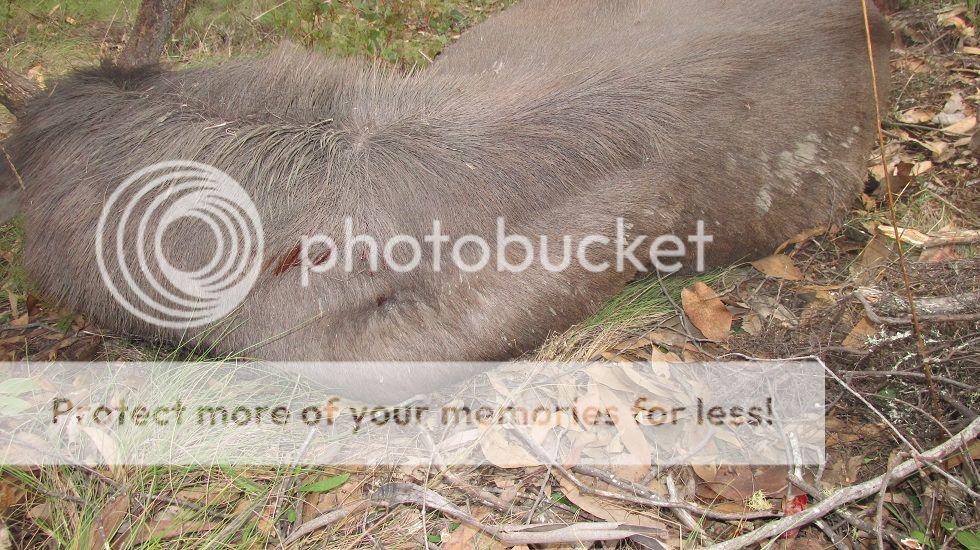 IMG_5828entry.jpg~original