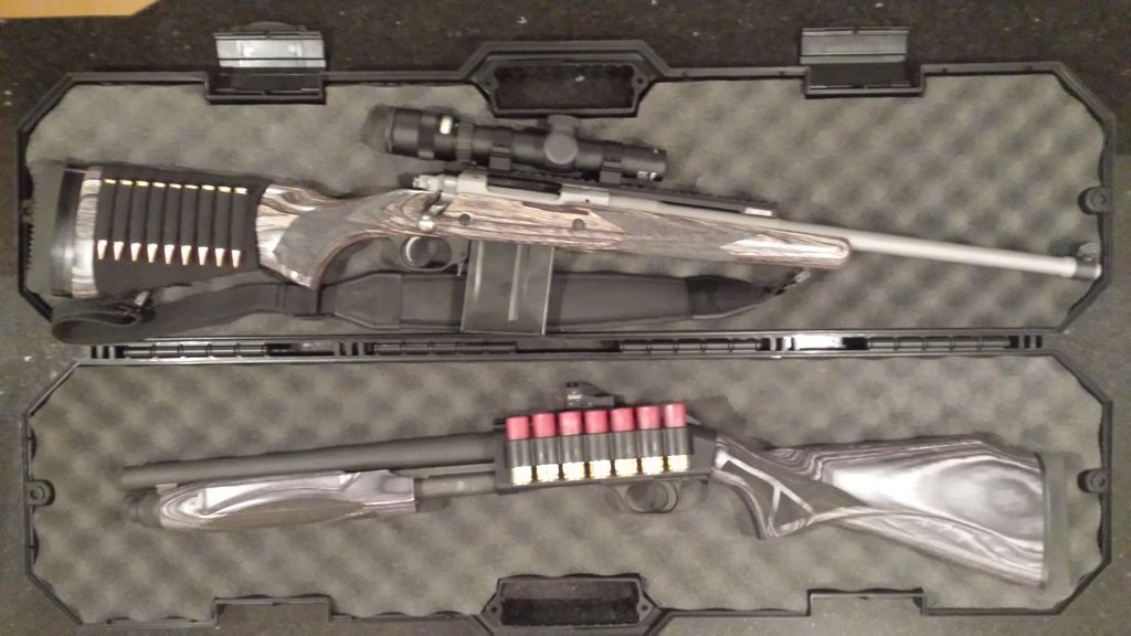 Mr%20Ruger%20and%20Mr%20Mossberg.jpg