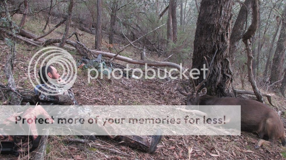 IMG_5377hilldog.jpg~original