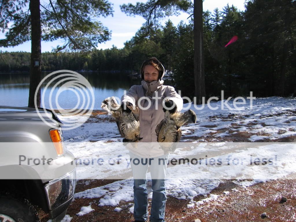 PartridgeHuntin08022.jpg