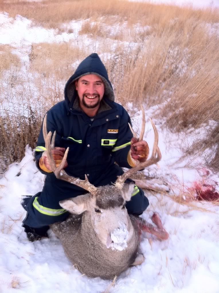 muledeerbuck.jpg