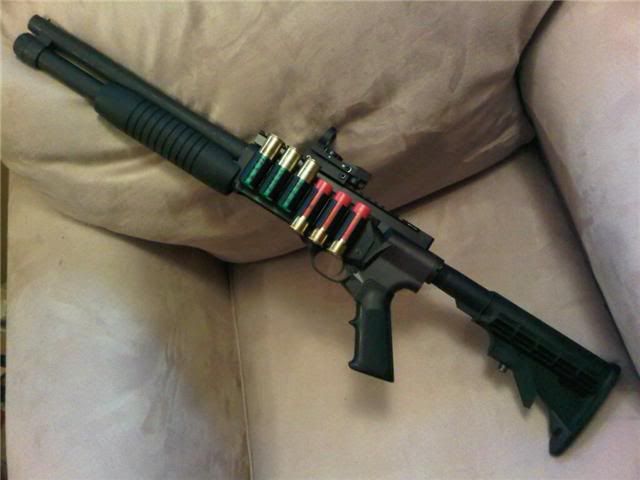 s1.jpg