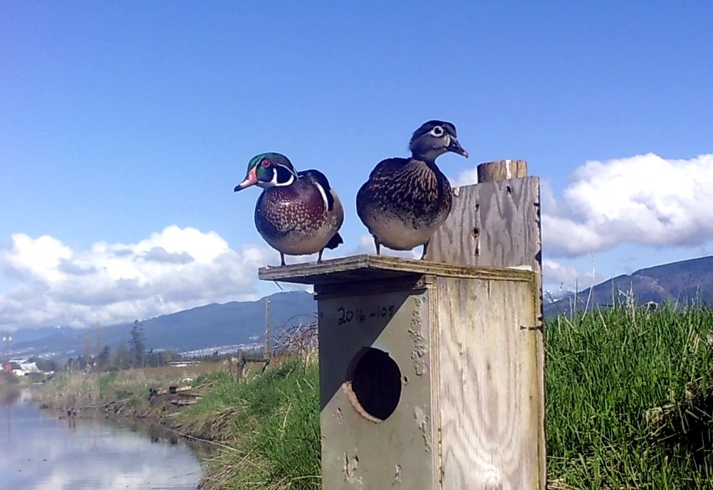 SUNP0212_zpsa2ncanhq.jpg~original