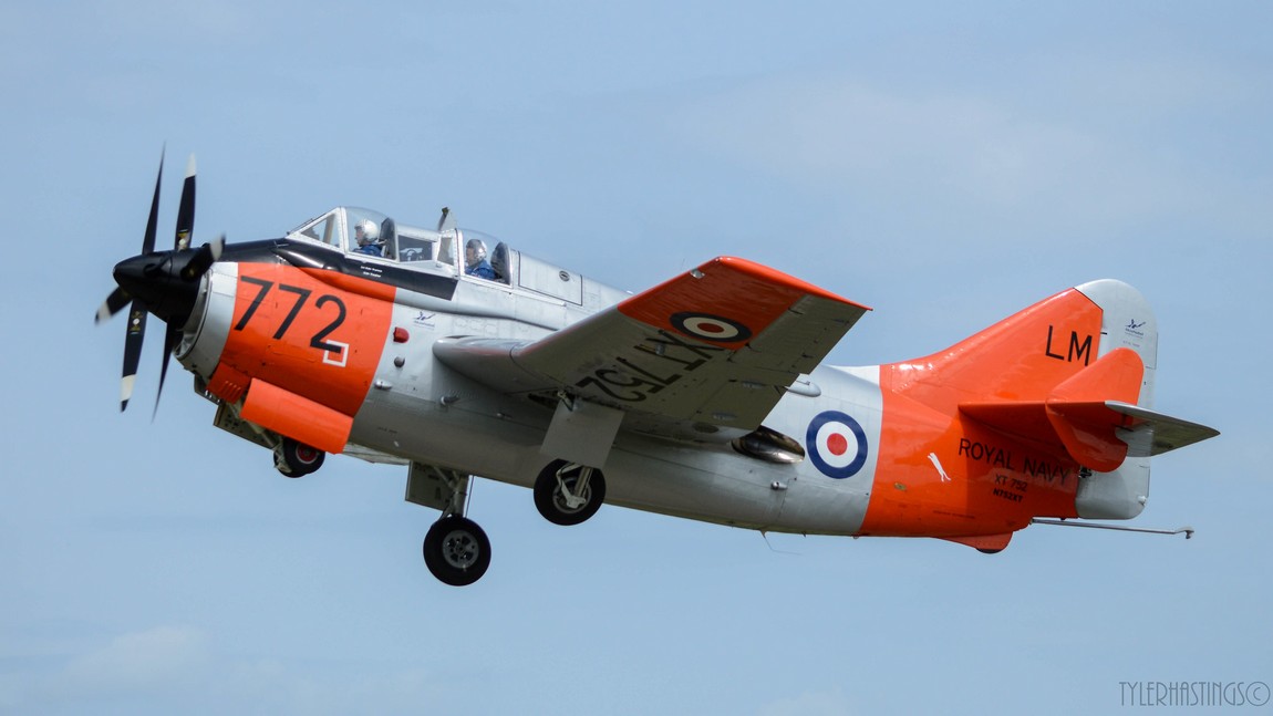 WB_Gannet_XT752_Tyler_Hastings.jpg