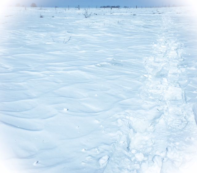 IMG_2174_zpscrz0kdy6.jpg