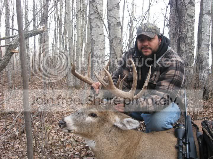 2010Whitetail.jpg