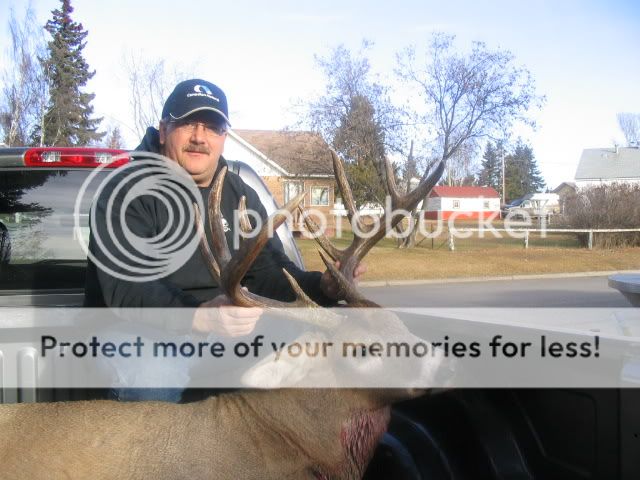 2005whitetail5.jpg