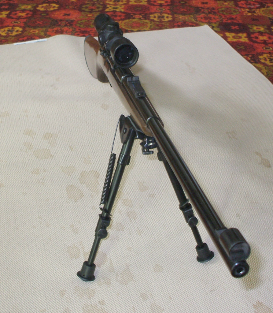 22_rifle3.png