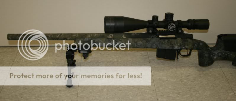 my308003.jpg