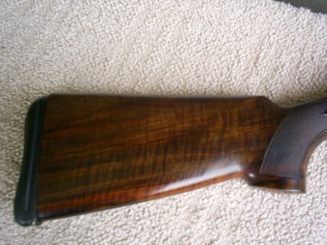 S4021868.jpg