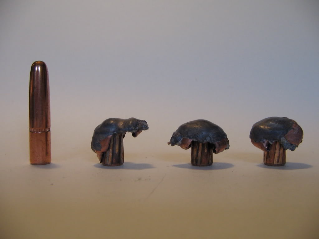 Hornady160gr-RNSP.jpg