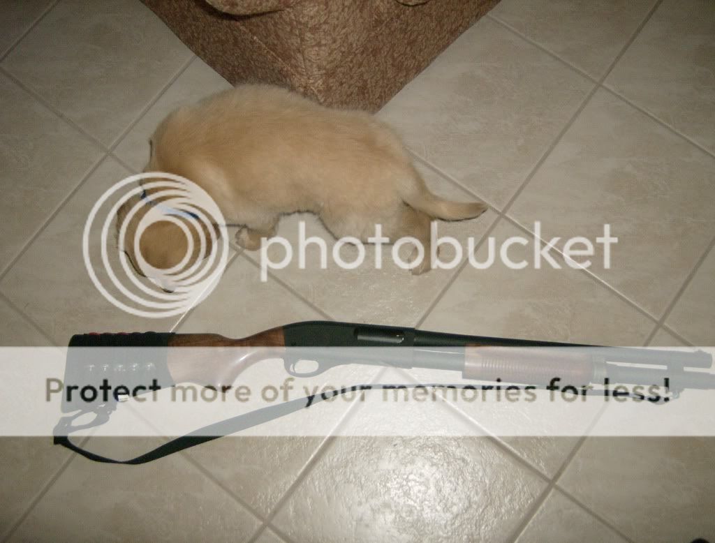HPIM1038.jpg