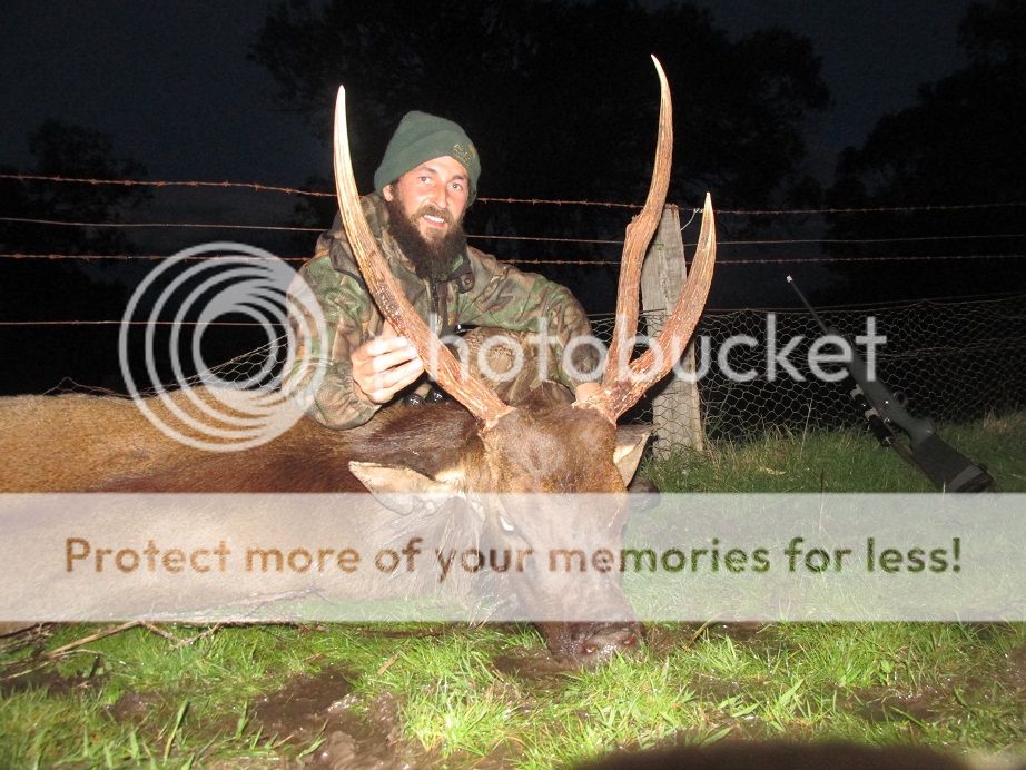 IMG_3936bigbrute.jpg~original