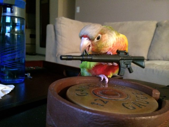 aQLjc3Tl.jpg