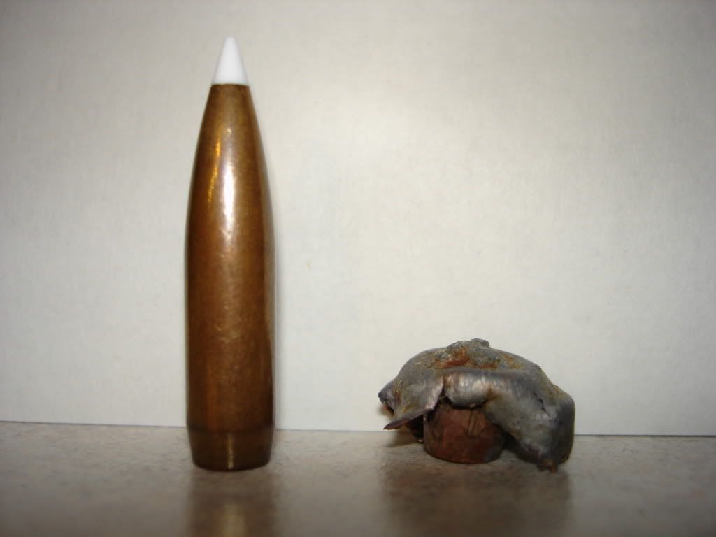 WadesElkSept2009029.jpg