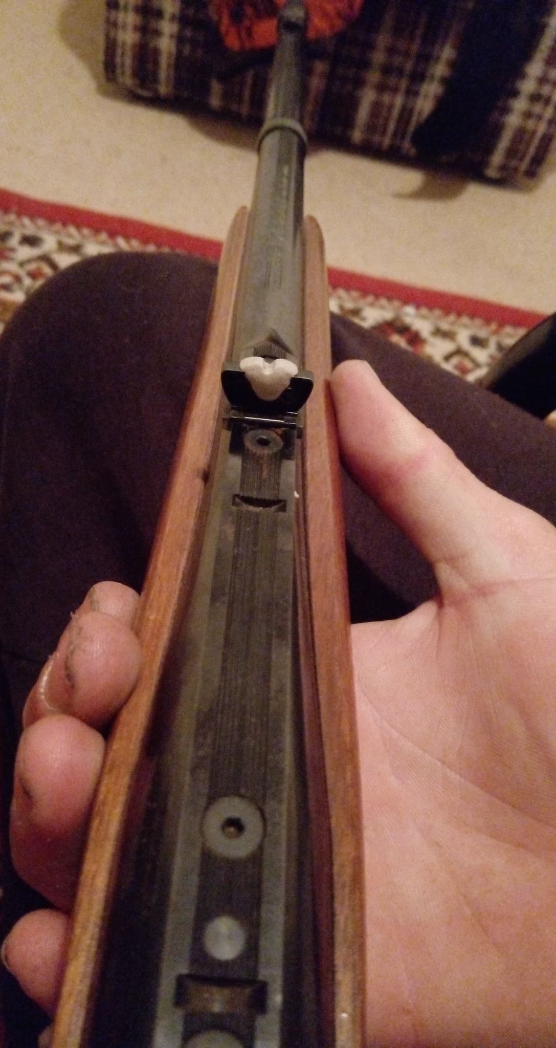 cM1SAzL.jpg