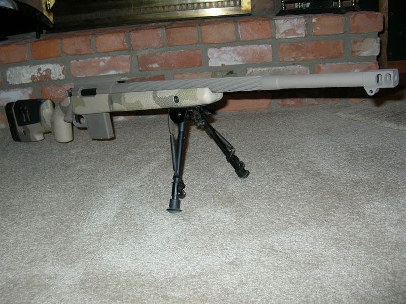coyote009.jpg