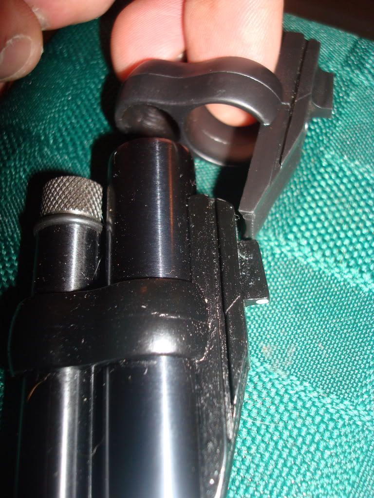 DSC05535.jpg