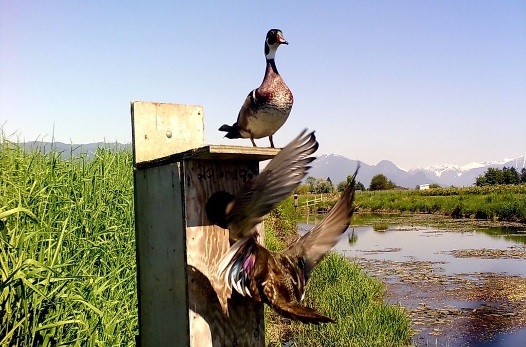 image_zpsrom4gu2d.jpeg~original