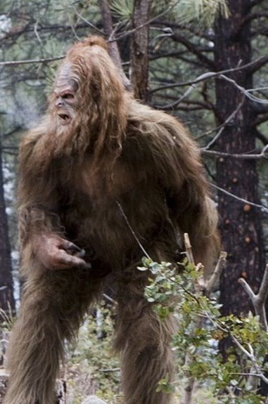 sasquatch.jpg