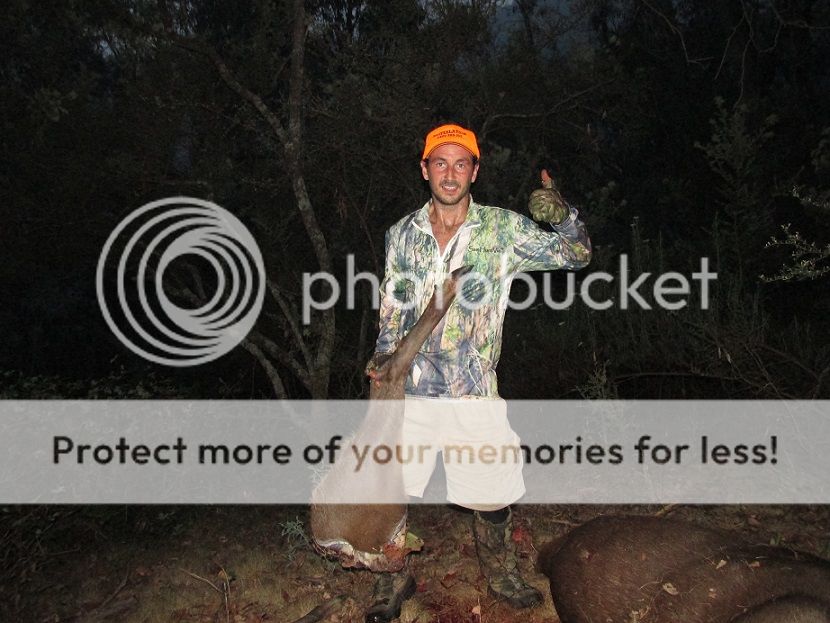 IMG_0459_legs11.jpg~original