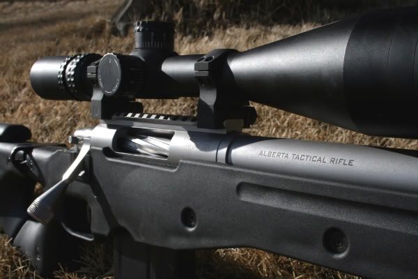 mikes3082.jpg