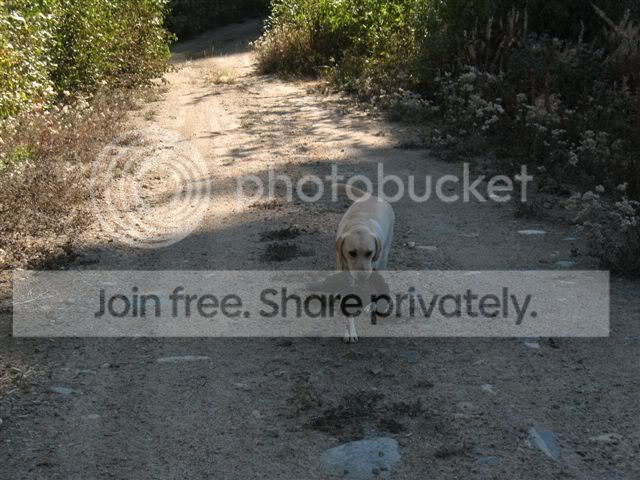 Murphy006.jpg