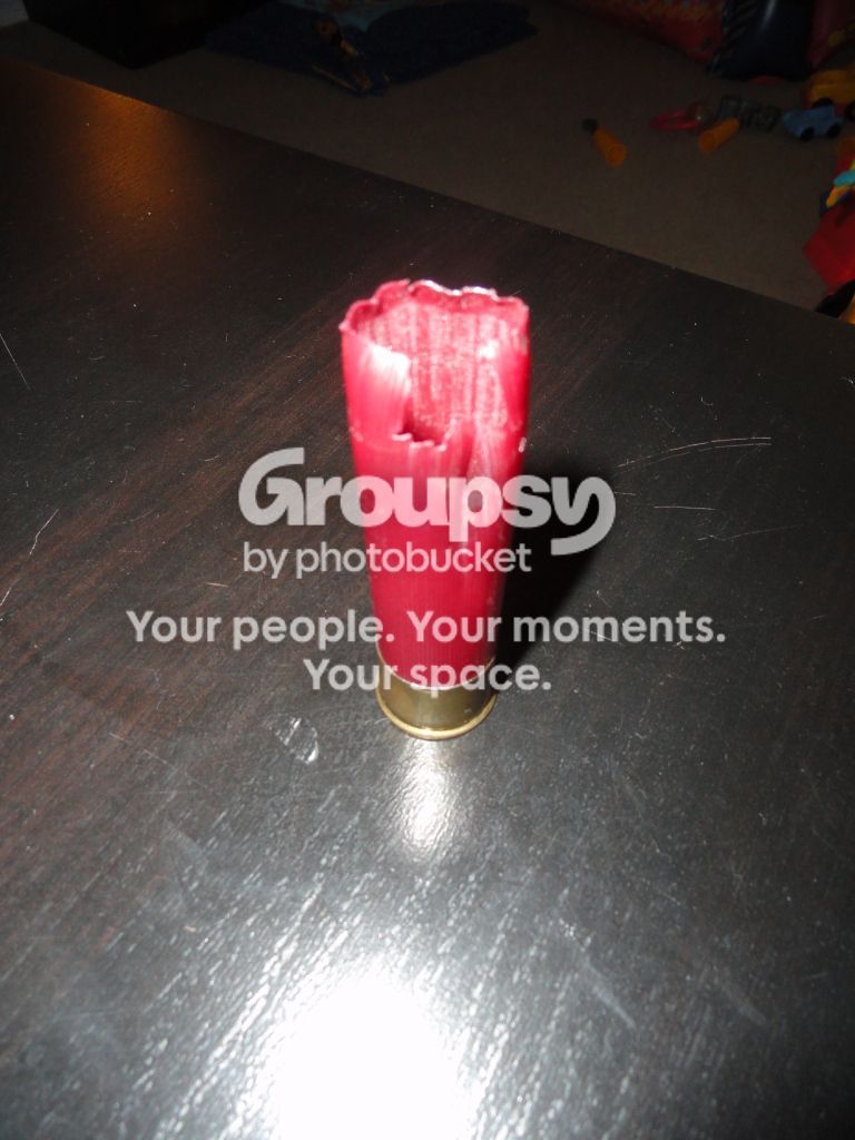DSC01899.jpg