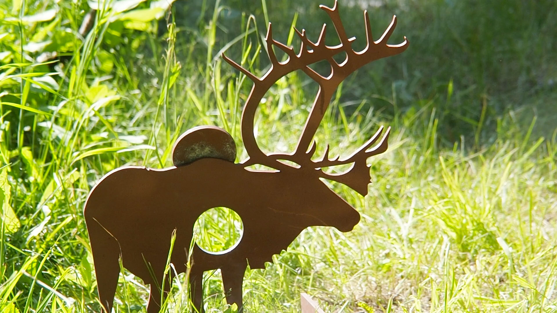 caribou_c.jpg