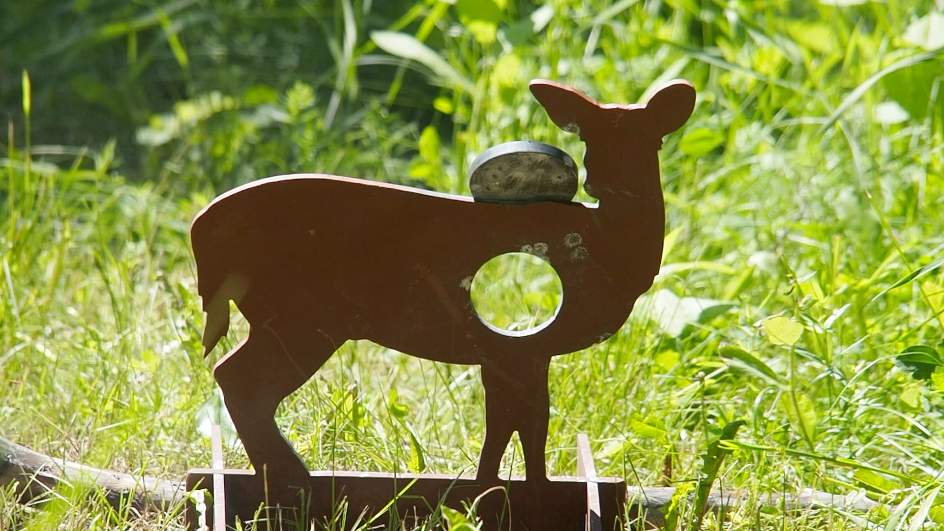 whitetail_doe_c.jpg