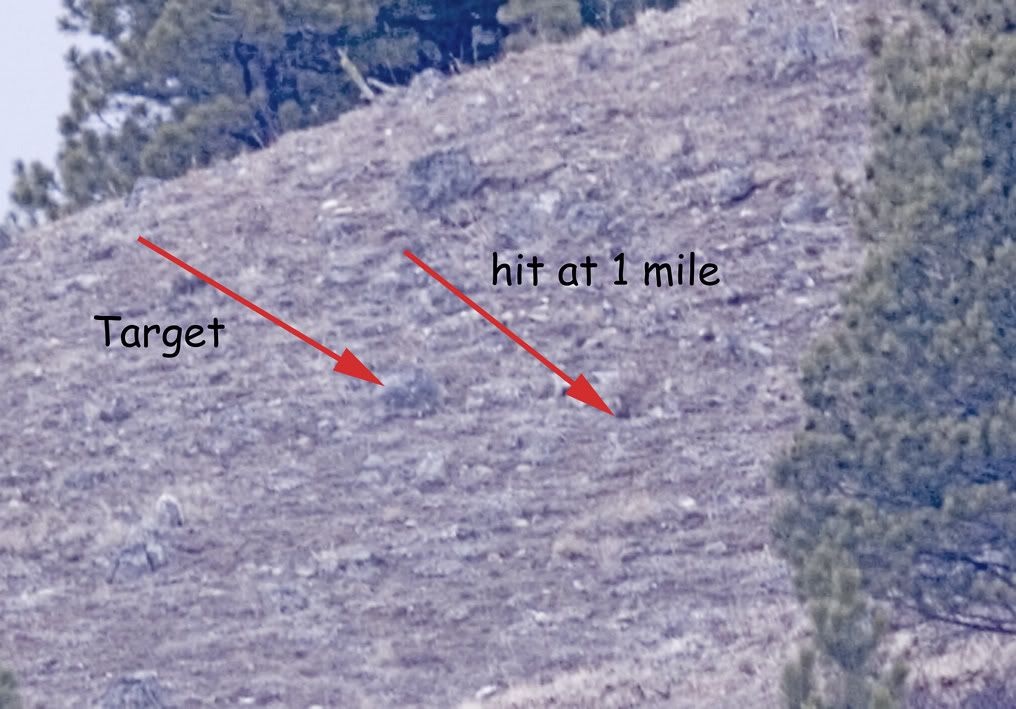 1mile-shotMar08_1.jpg