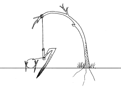 survival-snares-7.jpg