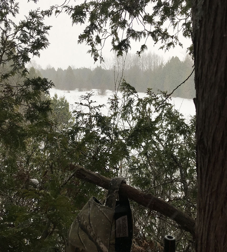 2019-11-15godola.jpg