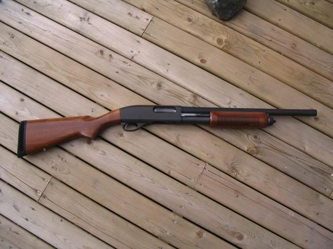 870sp002.jpg