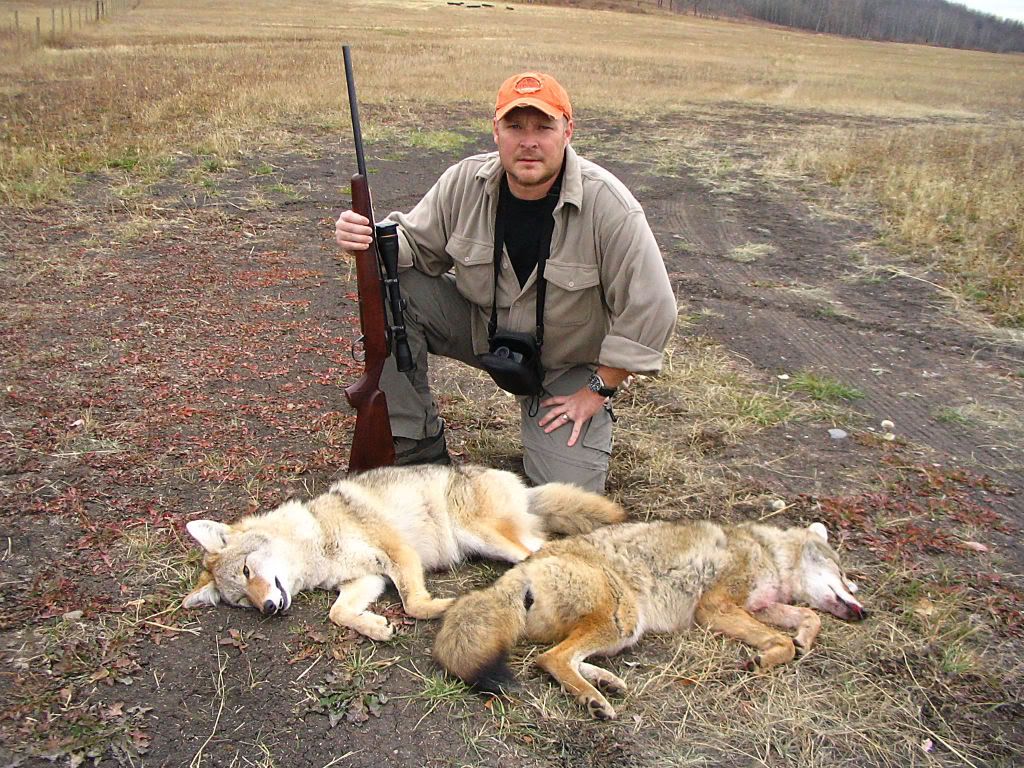 COYOTESw.jpg