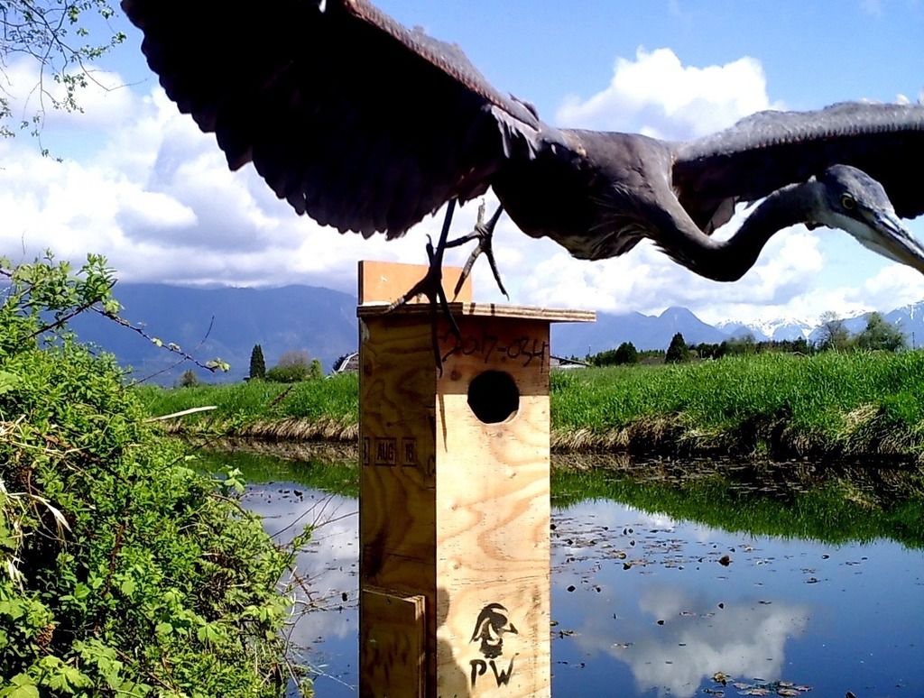 image_zpsxqdggpoq.jpeg~original