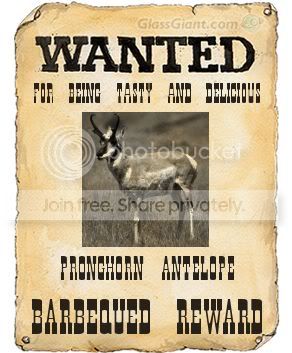 antelopewantedposter.jpg