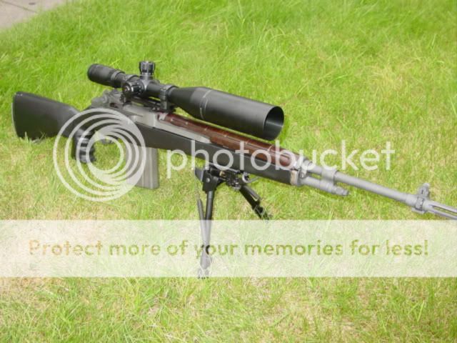 mym14.jpg