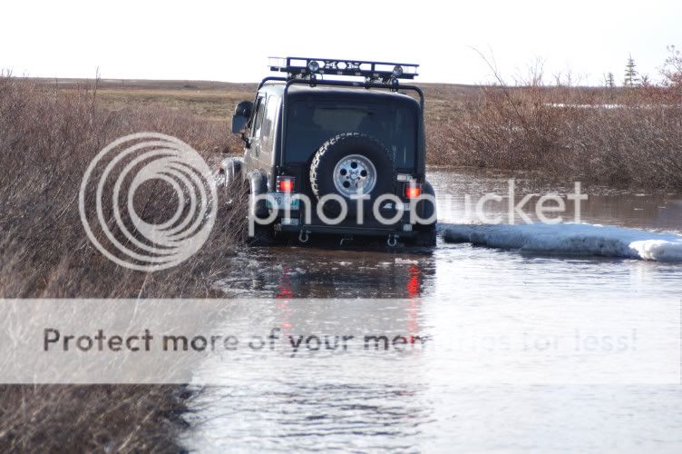 jeep20.jpg