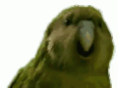 WYjjOrR.gif