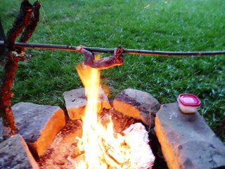 gopher-on-a-stick.jpg