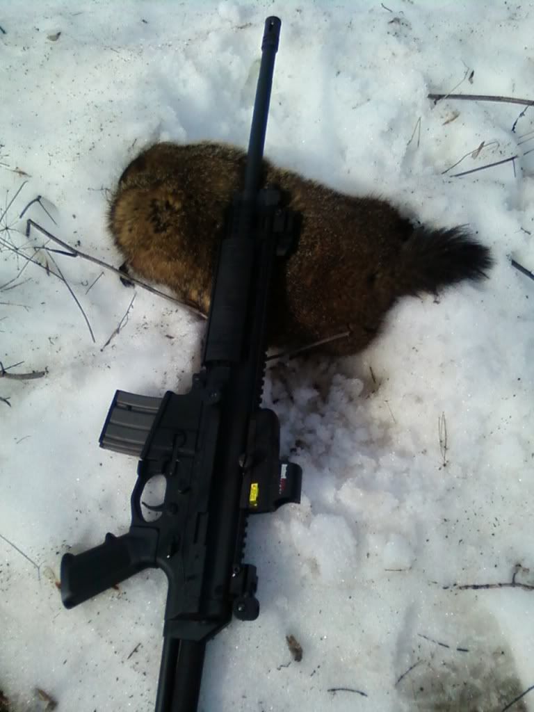groundhog_vs_xcr_photo_5.jpg
