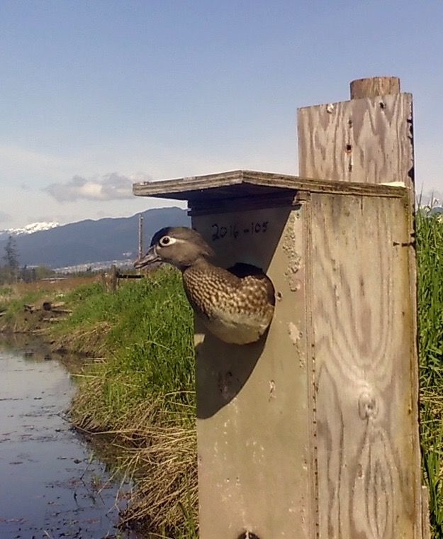 image_zpsawrdjwd0.jpeg~original