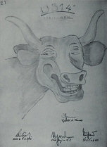 othbull_13.jpg