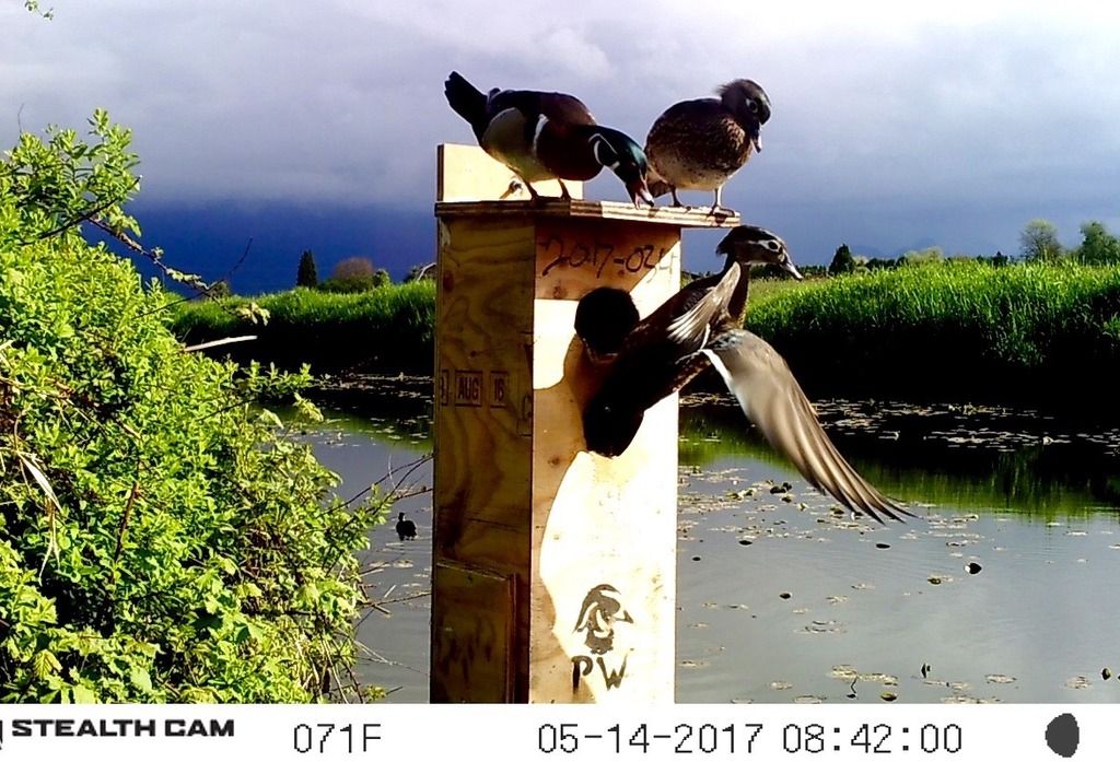 image_zpsdre3sl4c.jpeg~original