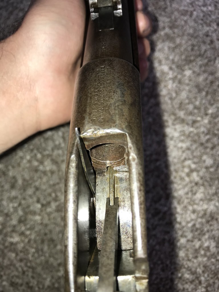 50059252303_ac1b720d52_b.jpg