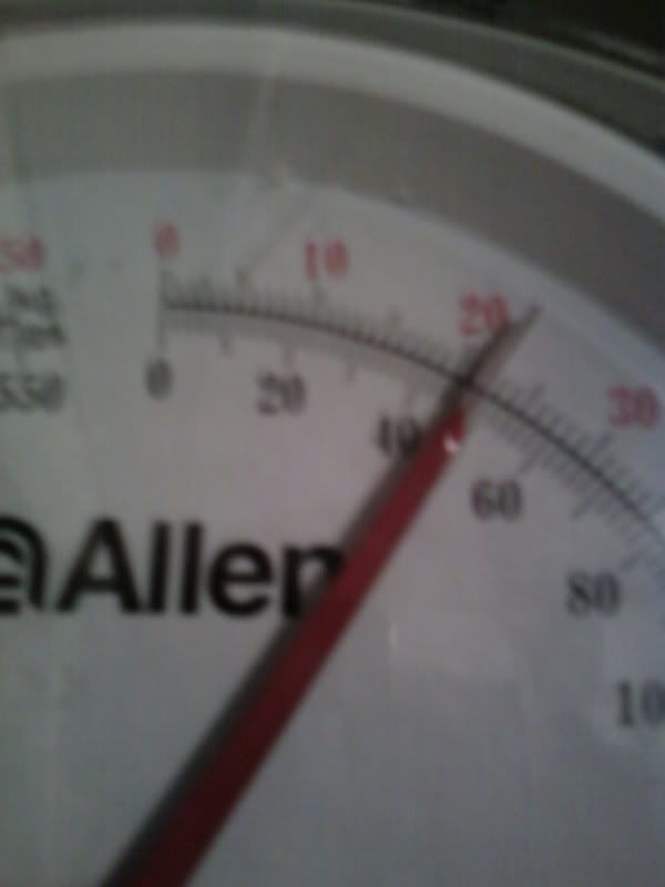 0131111908-02.jpg