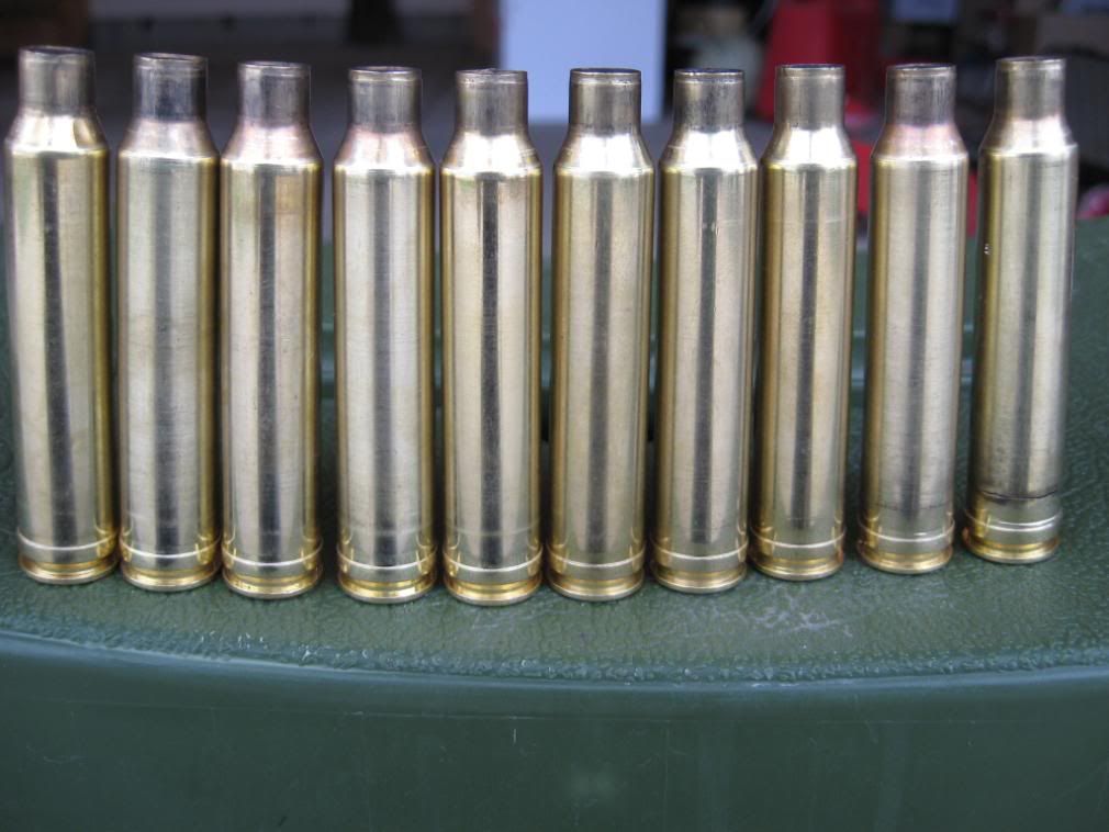 Shells007.jpg